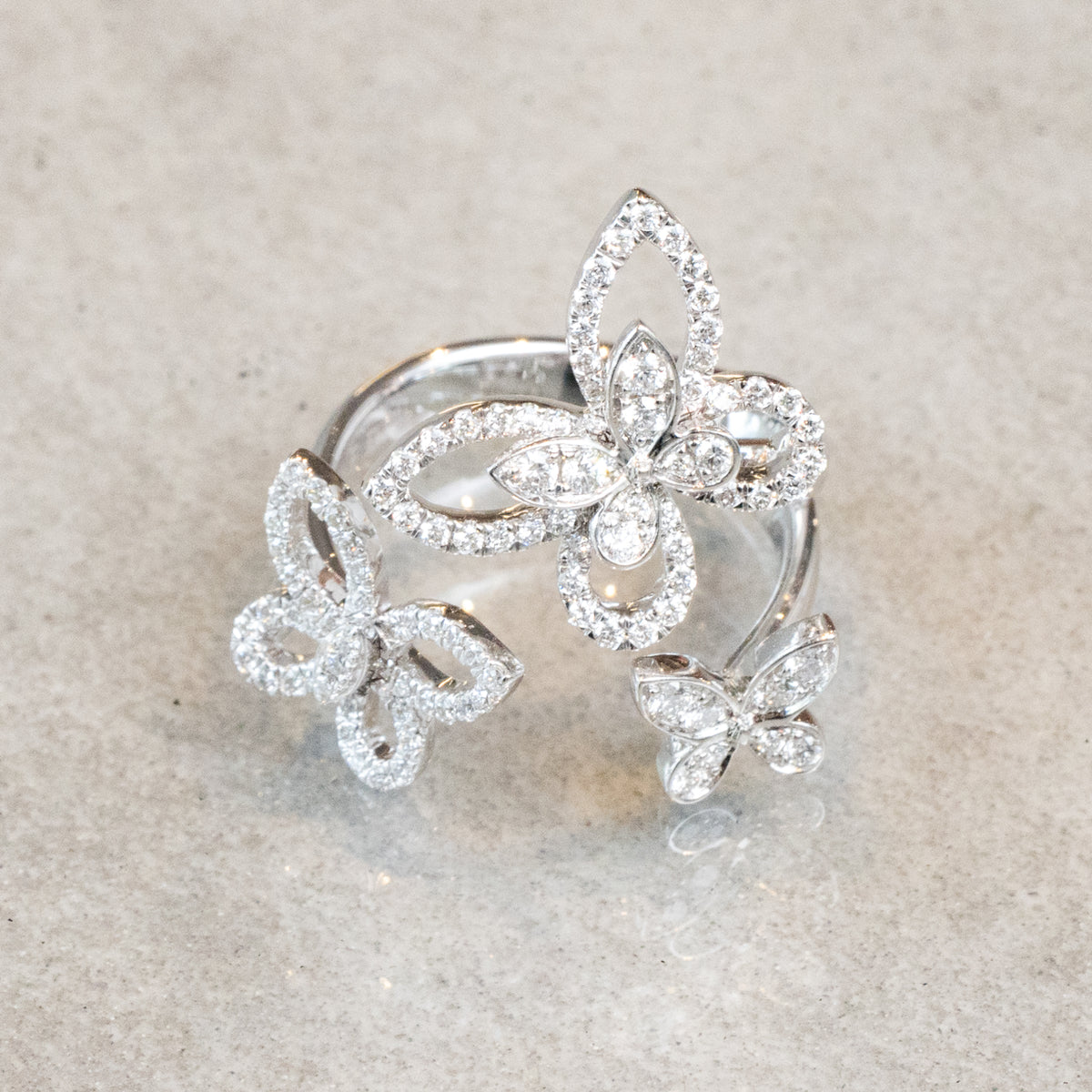 o551GRAFF_7_3_1200x1200.jpg?v=